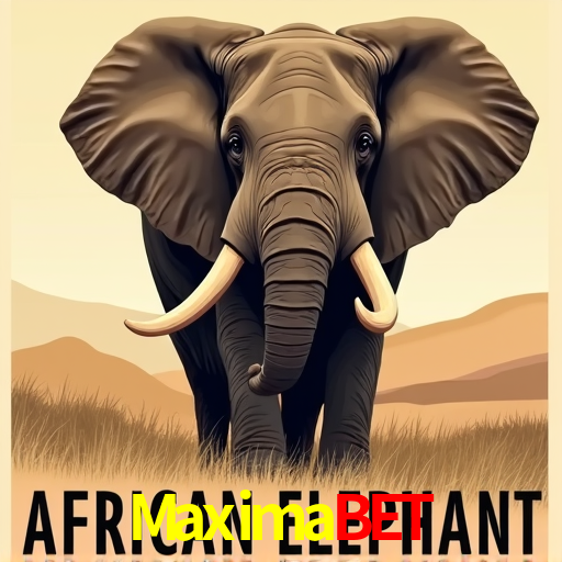 A Experiência Imersiva dos Cassinos Ao Vivo no Maximabet